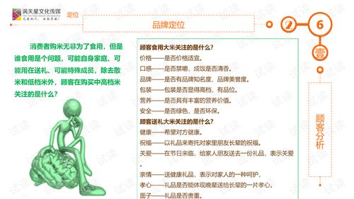 大米姐品牌營銷策劃案商業計劃書